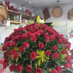 FlorerÍa
