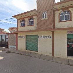 Floreria
