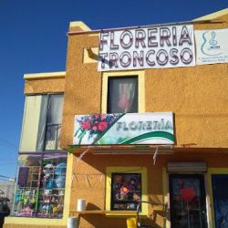 Floreria