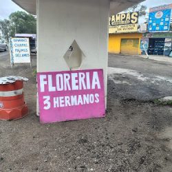 Floreria 3 Hermanos