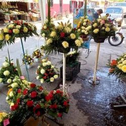 Florería 5 Angelitos