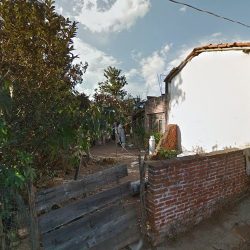 Floreria 5 De Mayo