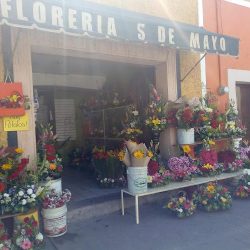 Floreria 5 De Mayo