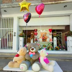 Florería Aazucena