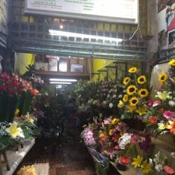 Florería Abelardo