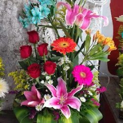 Floreria Abigail