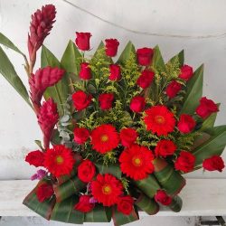 Floreria Acaponeta L&p
