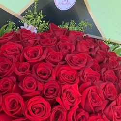 Florería Acuarela