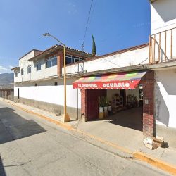 Floreria Acuario