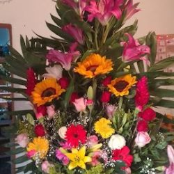 Florería Ada San Diego El Organal