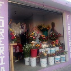 Floreria Adelita