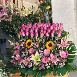 Florería Ailani