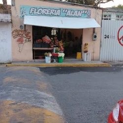 Floreria Alan
