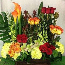Floreria Alanis