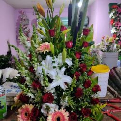 Floreria Albertico