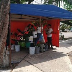 Florería Albins