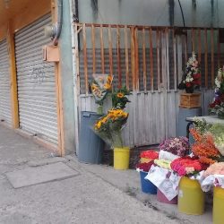 Floreria Alborada