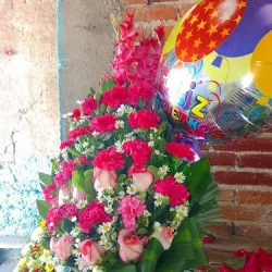 Floreria Alcaide