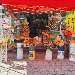 Florería Alcatraces