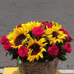 Florería Aldonza
