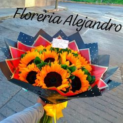 Floreria Alejandro
