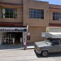 Floreria Aleli
