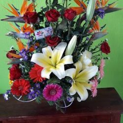 Floreria Alely