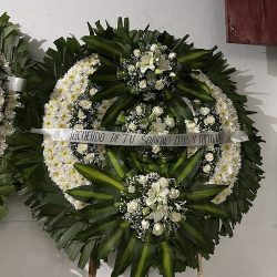 Floreria Alessian