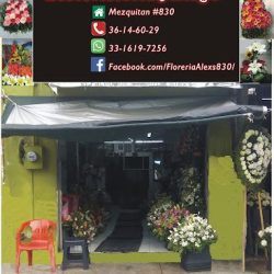 Floreria Alex