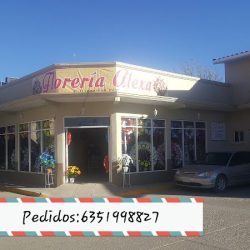 Floreria Alexa Cd.guerrero