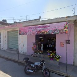 Florería Alexander