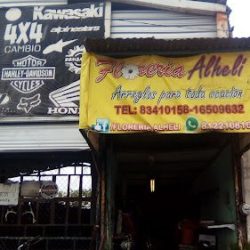 Floreria Alheli