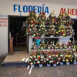 Florería Alhelí