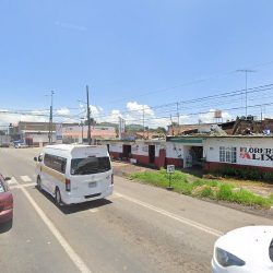 Floreria Alix