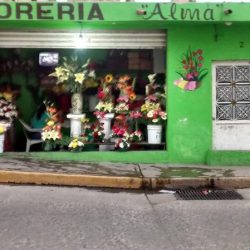 Floreria Alma