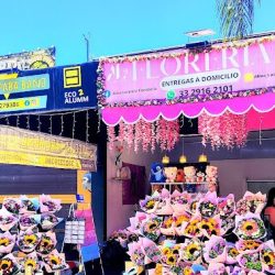 FlorerÍa Alma Lucatero Y Vitrotecnia