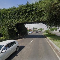Florería Alondra