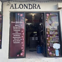 Florería Alondra
