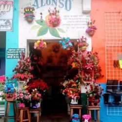 Florería Alonso