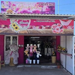 Floreria Alos Girasoles
