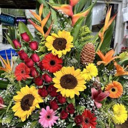 Floreria Altagracia