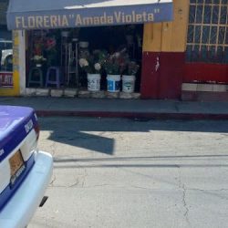 Floreria Amada Violeta
