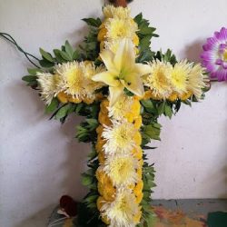Floreria Amanalco