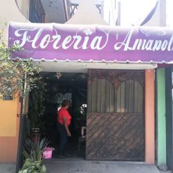 Florería Amapola