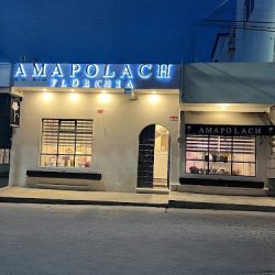 Florería Amapolach