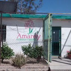 Floreria Amarely