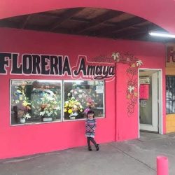 Florería Amaya