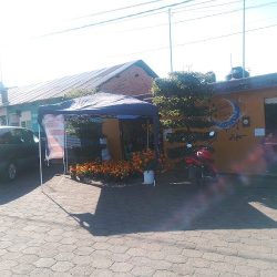 Florería Ámbar
