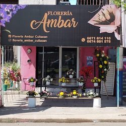 Floreria Ambar Culiacan Faja De Oro