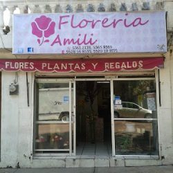 Florería Amili